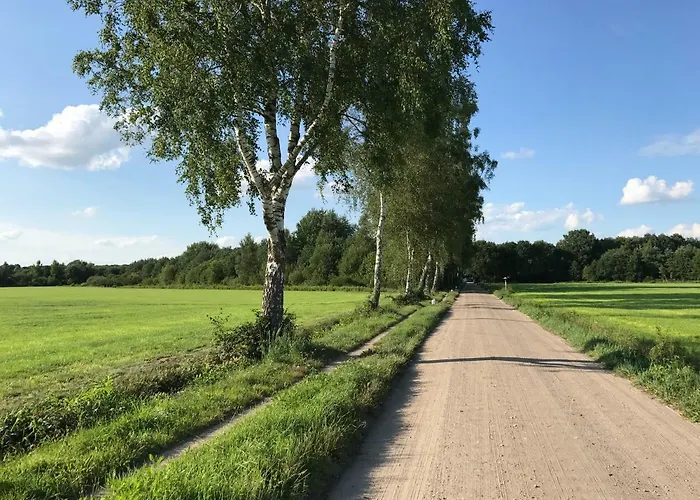 Oscar With Sauna In Holiday home *